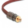 Y adapter Focal EY 05