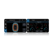 Informacijski adapter za Pioneer auto radio CD-SVW-UAR.007AE