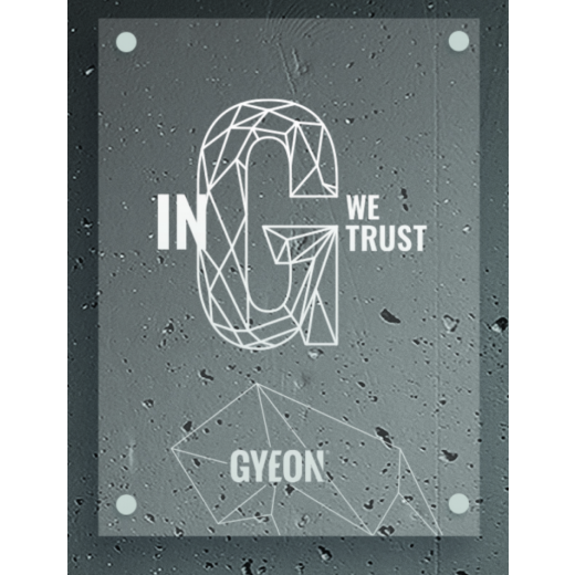 Prozirni LED panel Gyeon LED Tip 2 U G we trust 50x67 cm