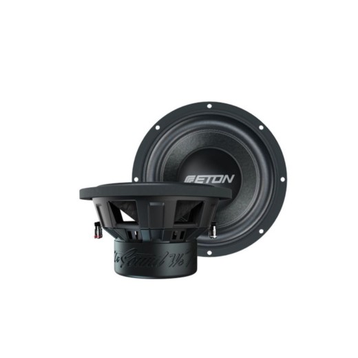 Eton PW 10 subwoofer