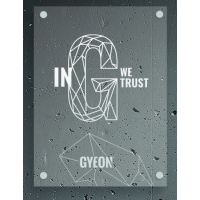 Prozirni LED panel Gyeon LED Tip 2 U G we trust 50x67 cm